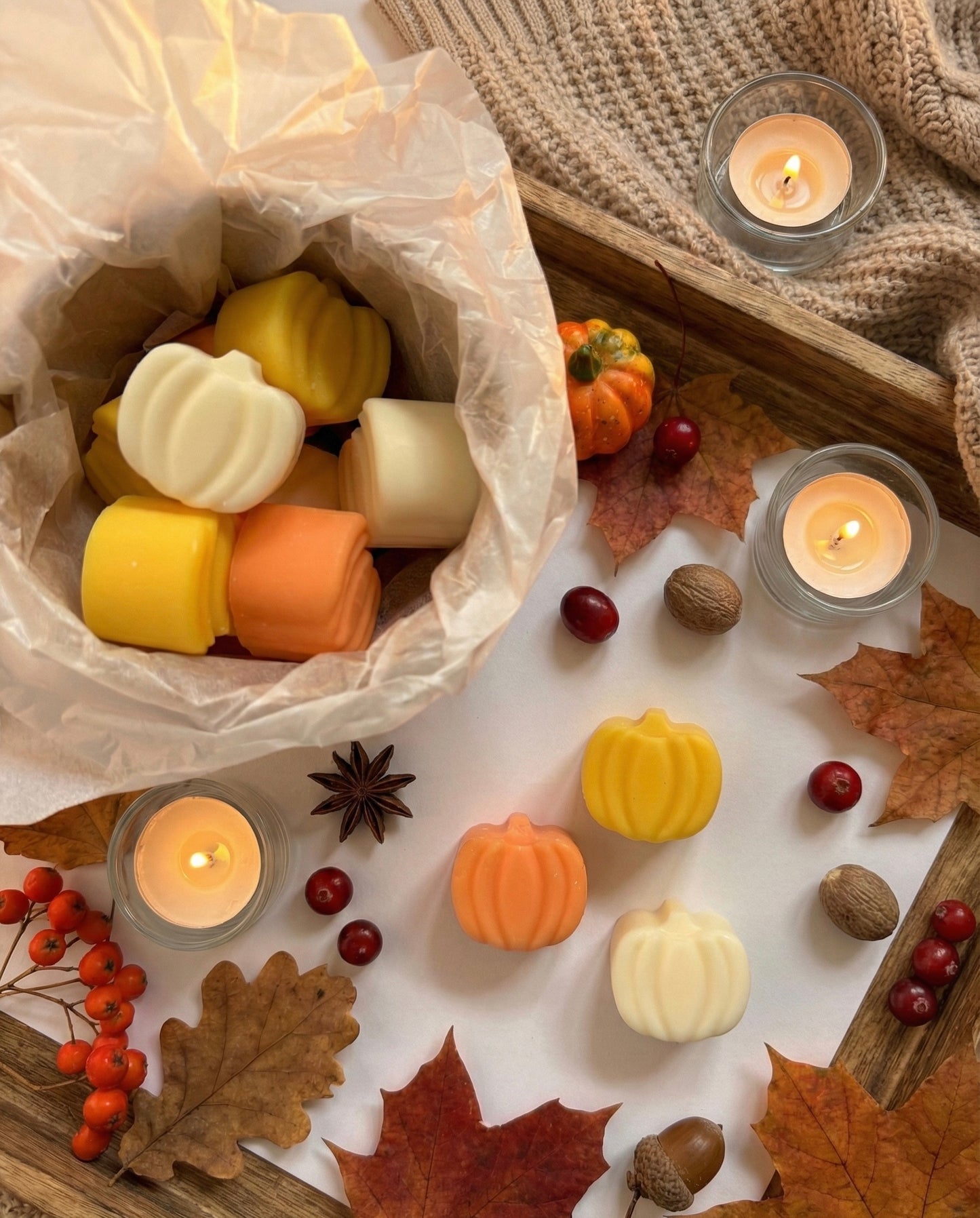 Cuddle Time | Pumpkin & Cinnamon Sculptural Wax Melts
