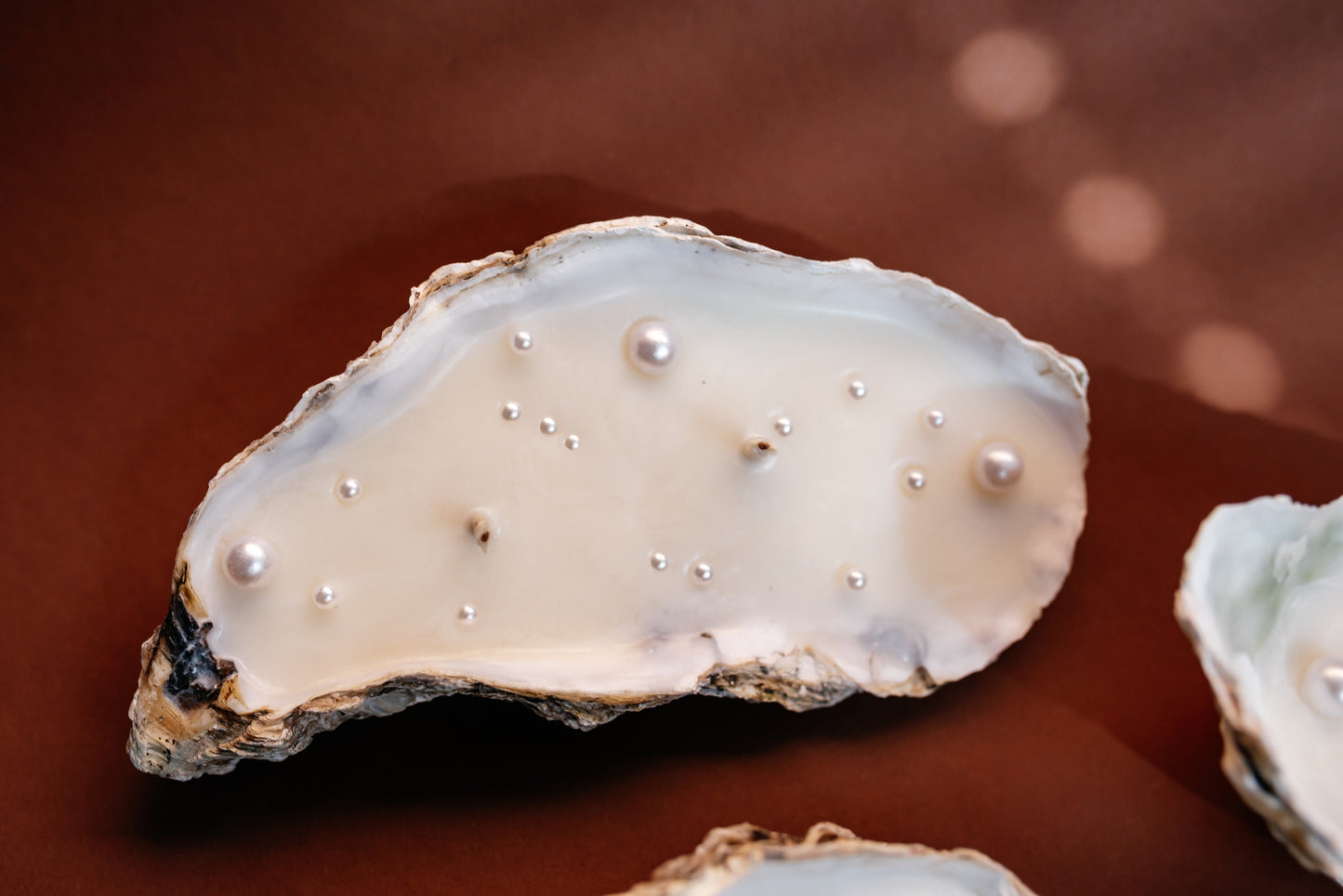 Set of 50 PCS Soy Wax Candles in Oyster Shells with Pearl Imitation – Weddings Candle Favors Bulk & Beach Bridal Shower Decor