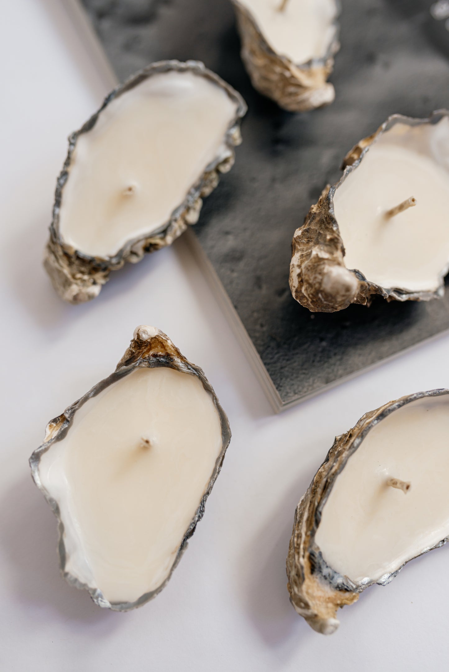 Silver Oyster Shell Candle Set: Minimalist Soy Wax, Unscented Decor