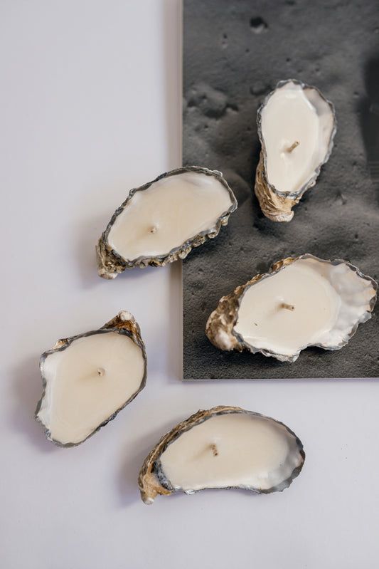 Silver Oyster Shell Candle Set: Minimalist Soy Wax, Unscented Decor