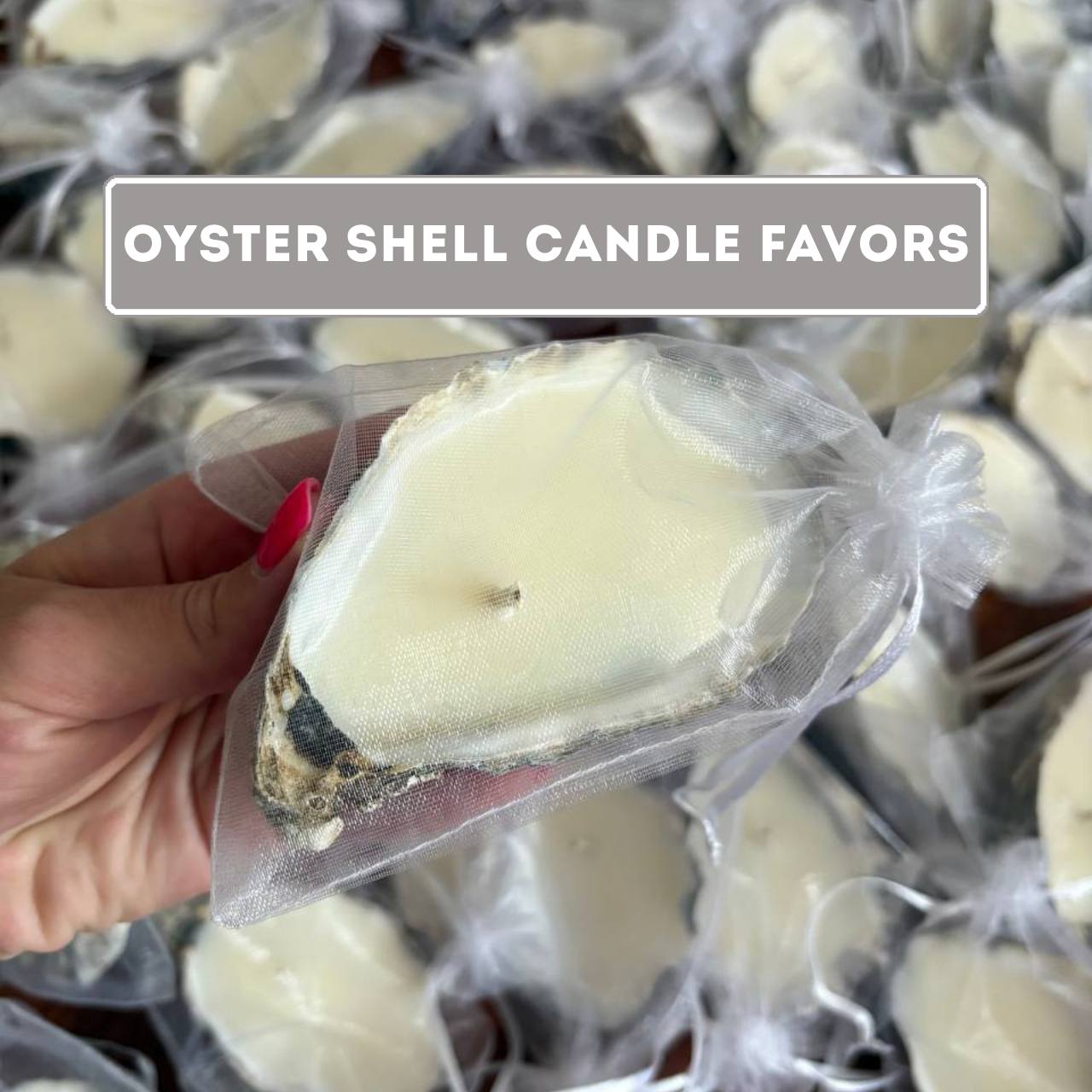 Set of candles in oyster shells with gold 3/5/10 PCS