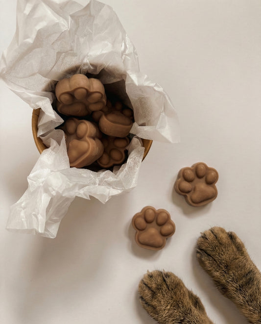 Cozy Grip | Sculptural Paw-Shaped Soy Wax Melts
