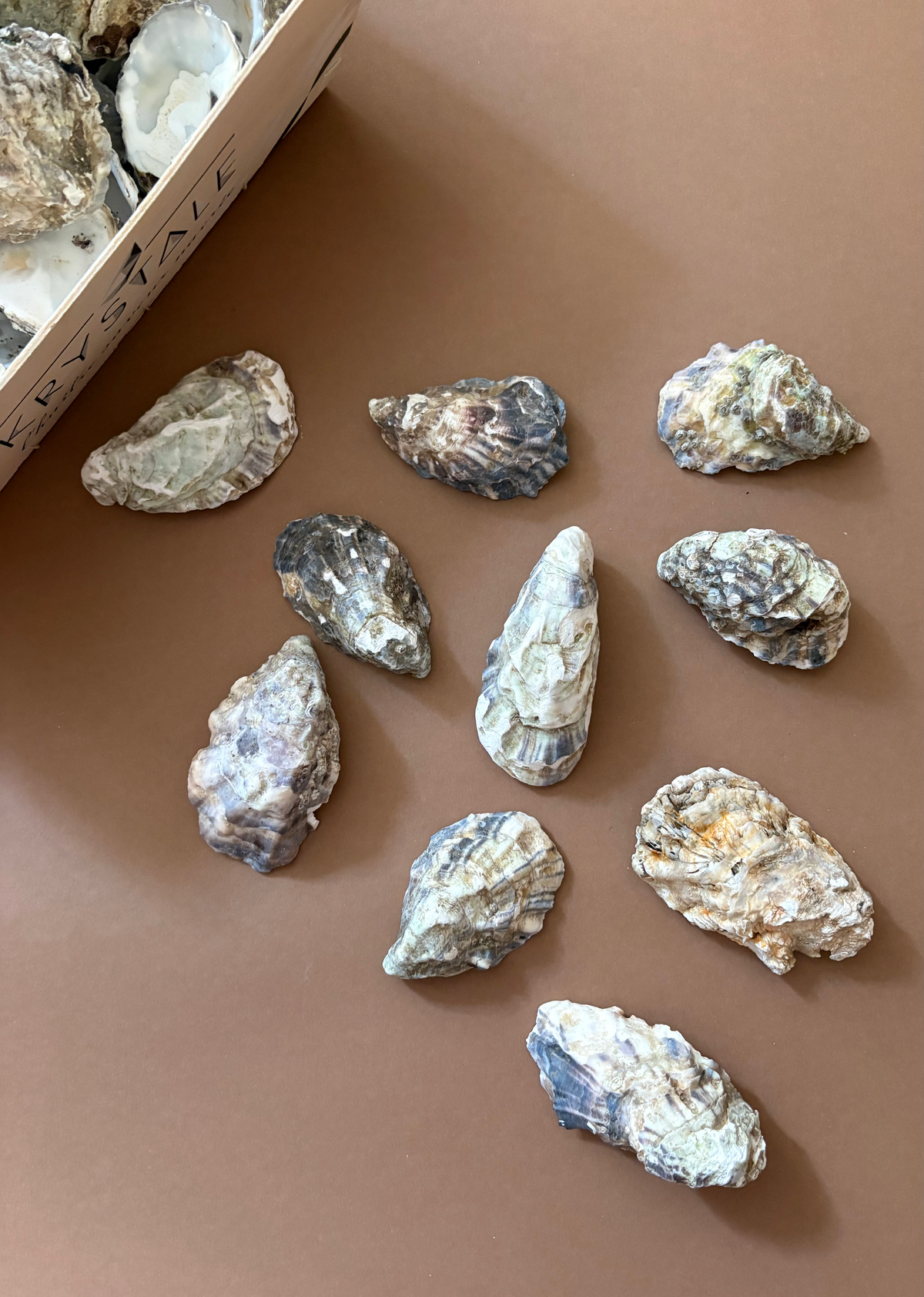 Nine raw oyster shells of various sizes and shapes scattered on a solid brown surface, with a cardboard box of more oysters partially visible in the top-left corner.