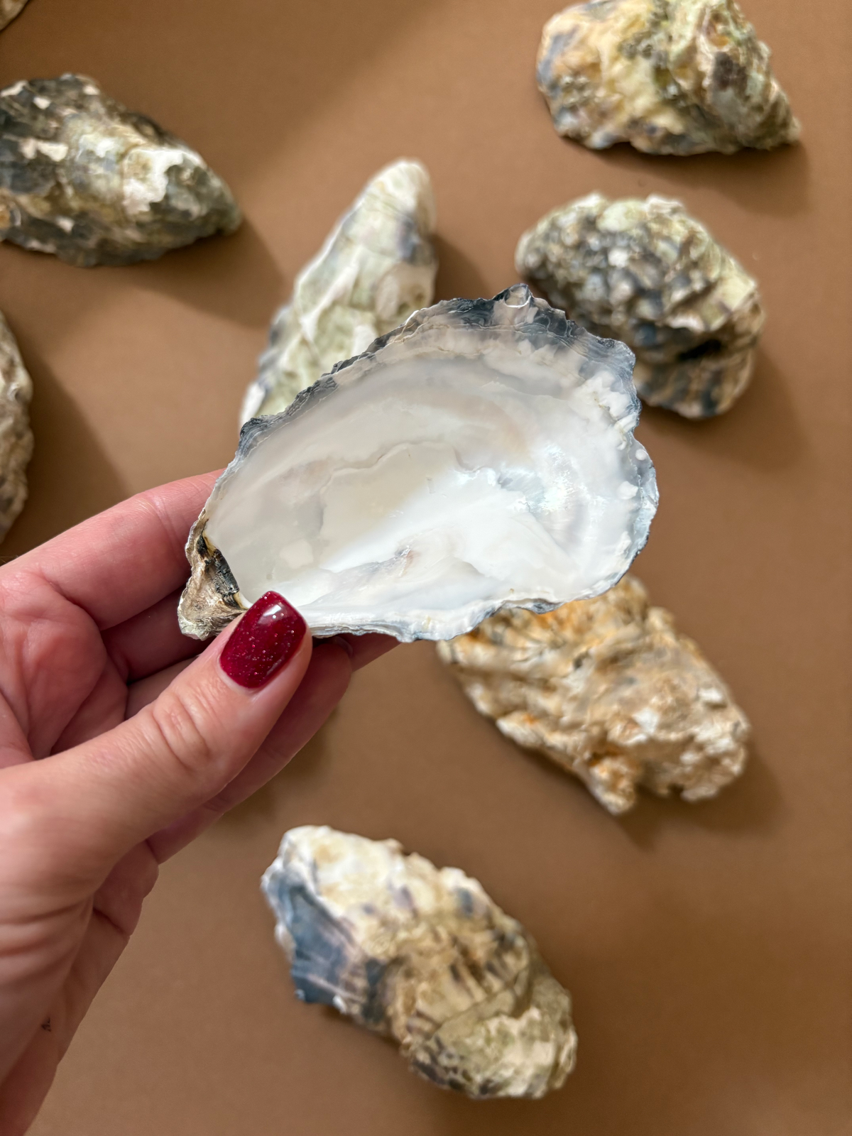 A hand with red glitter nail polish holds an open oyster shell showing a glossy white interior, with several raw oyster shells scattered on a brown background.