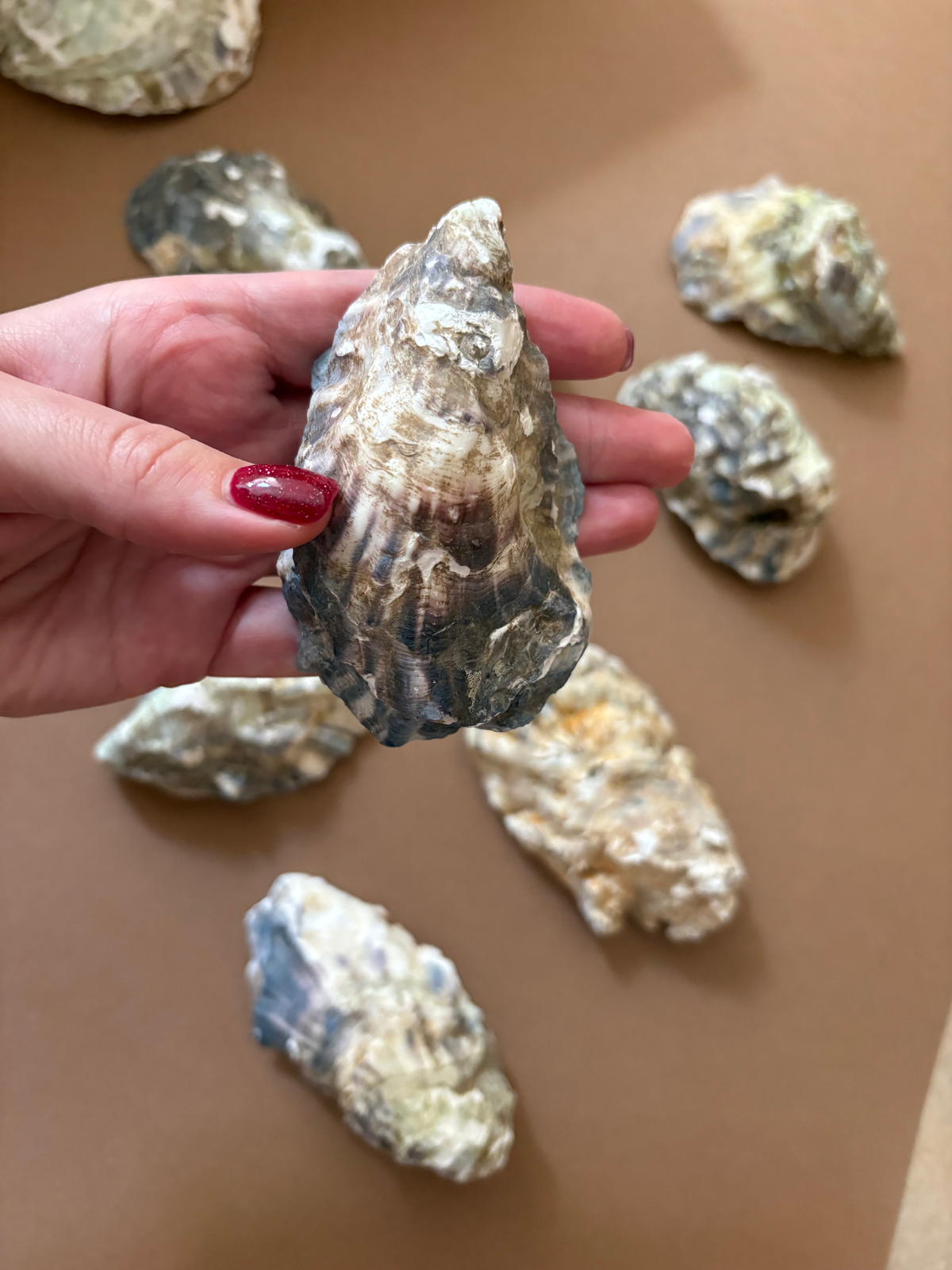 A hand with red nail polish holds a large, raw oyster shell over a brown surface, with several other raw oyster shells scattered in the background.