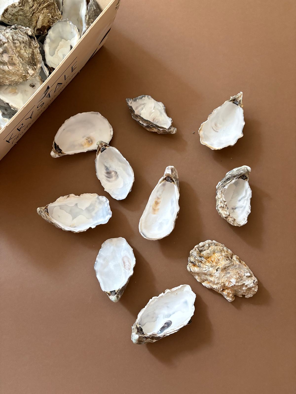 Fresh oyster shells, both open and closed, scattered on a brown surface with a cardboard box of more oysters partially visible in the top left corner.