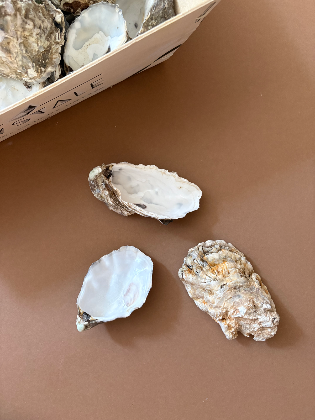 Three raw oyster shells, including two open shells showing the white inner mantle and one closed shell, displayed on a brown surface with a box of oysters partially visible in the top left corner.