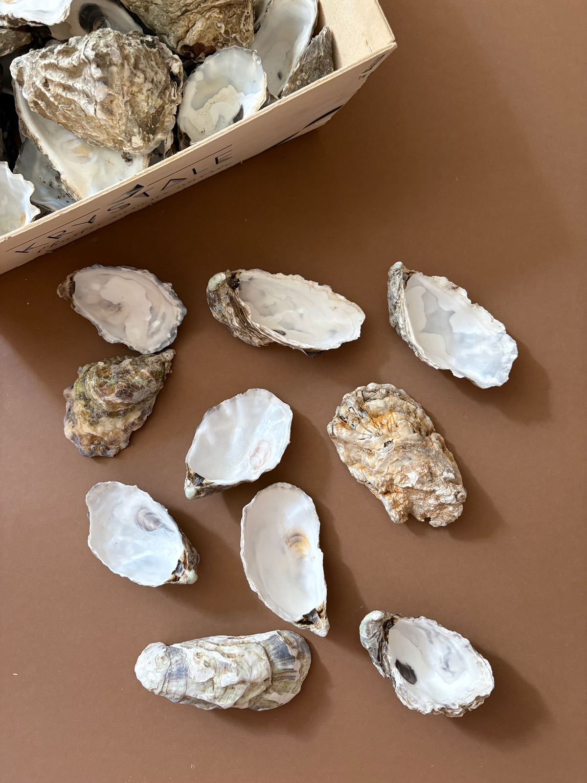 Raw oyster shells, both open and closed, arranged on a brown surface with a cardboard box of more oysters partially visible in the top left corner.