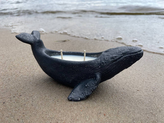 whale scented soy candle
whale candle
gift for her
gift idea