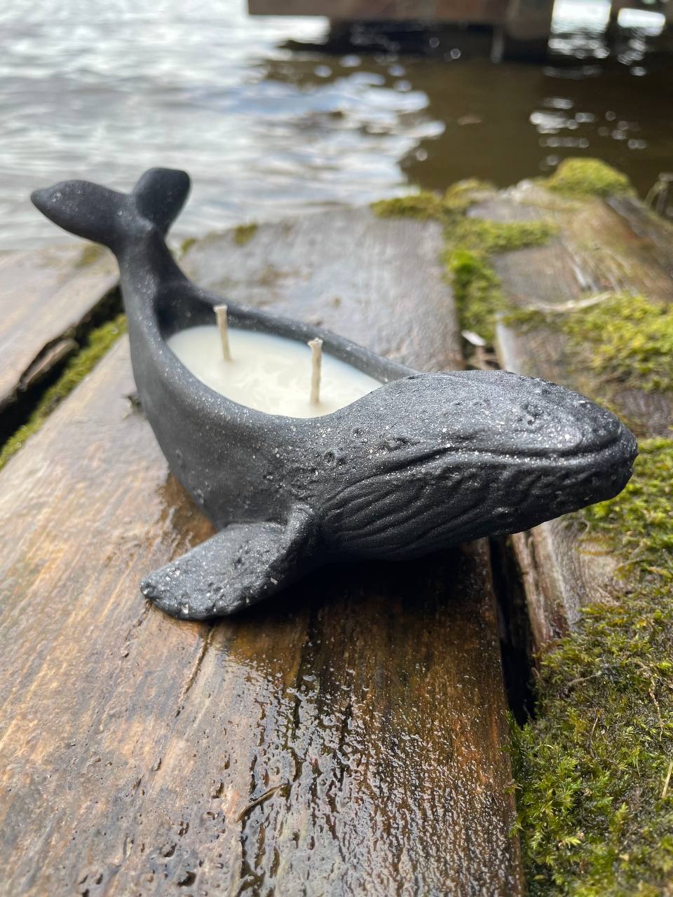 whale scented soy candle
whale candle
gift for her
gift idea