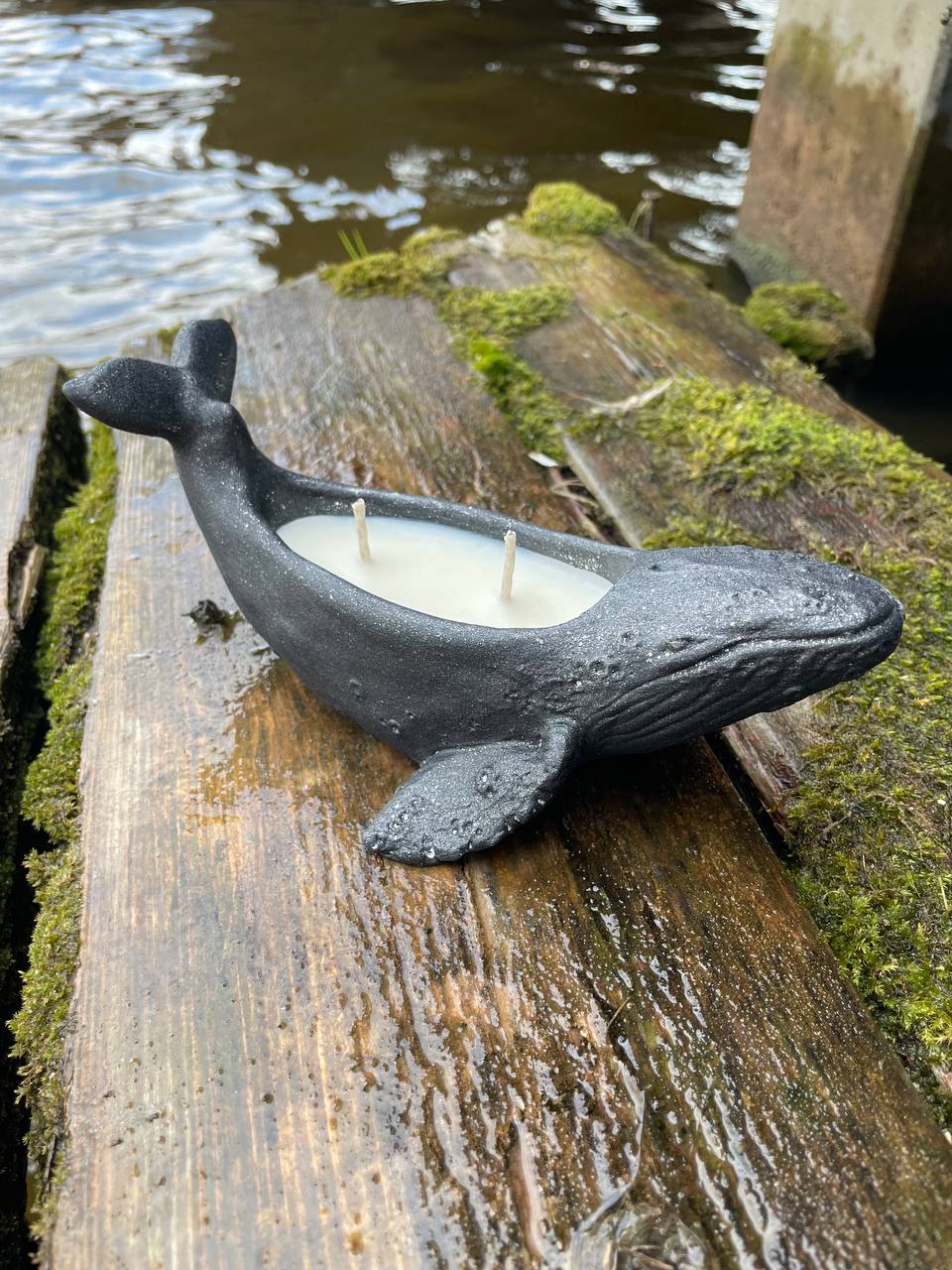 whale scented soy candle
whale candle
gift for her
gift idea